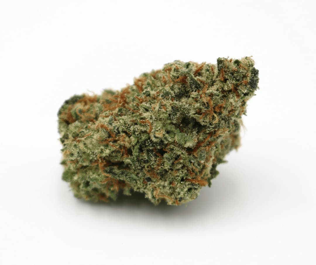 Jungle Mac Flower