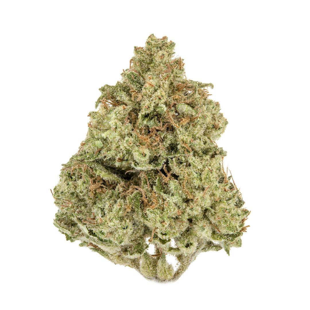 Tangerine Sorbet