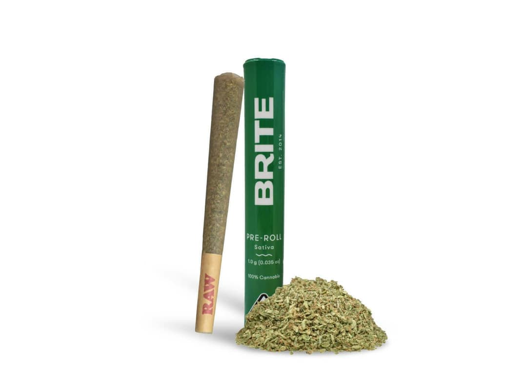 Tangie - Pre-Roll