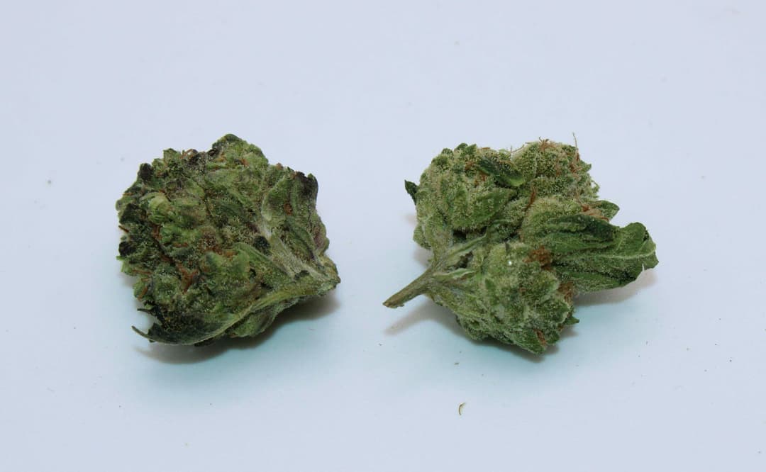 Cookies Smalls Ounce/28.3Grams(24%THC,INDICA)