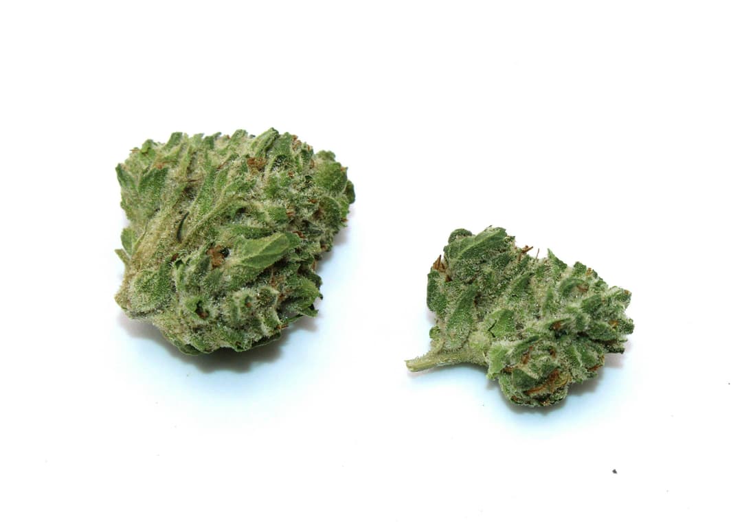Gush Mints Smalls 1/2 Ounce/14Grams(25%THC,HYBRID)