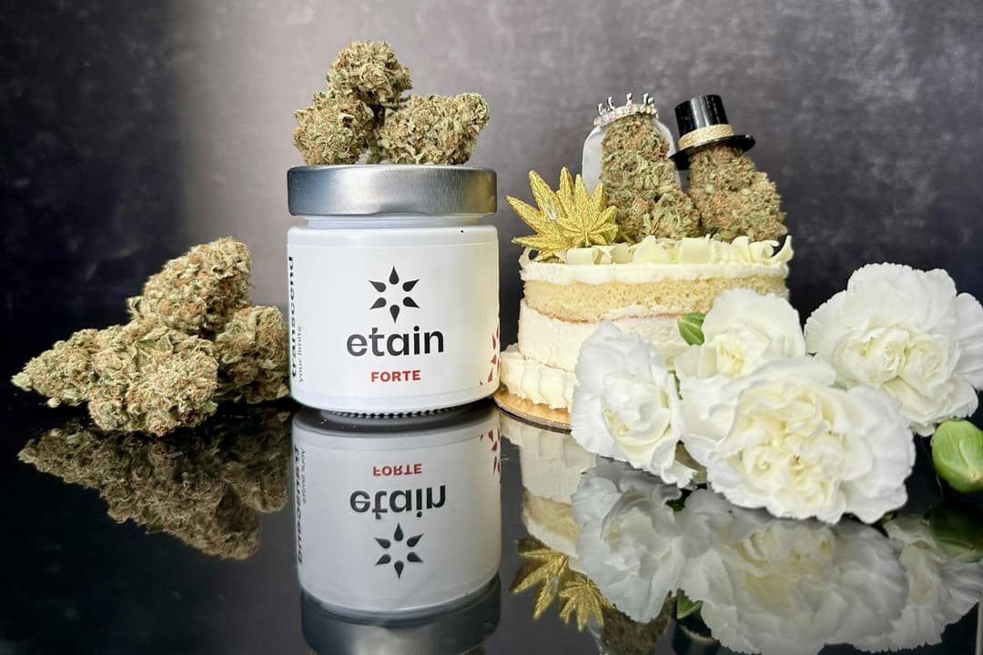 Forte Whole Flower - Wedding Cake (WC)