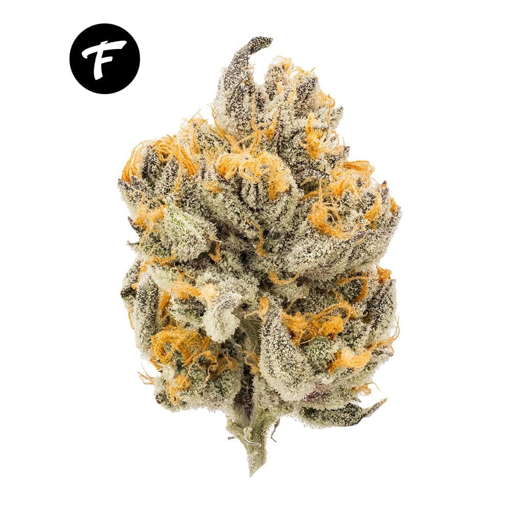 Sundae Driver - 20.31%
