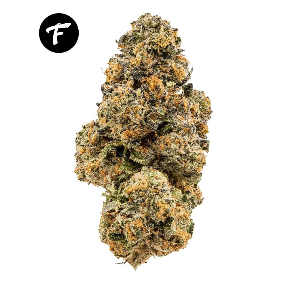 Grape Gas (Grape Pie x Jet Fuel Gelato) - 25.58%