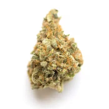 Zlushiez | Flower