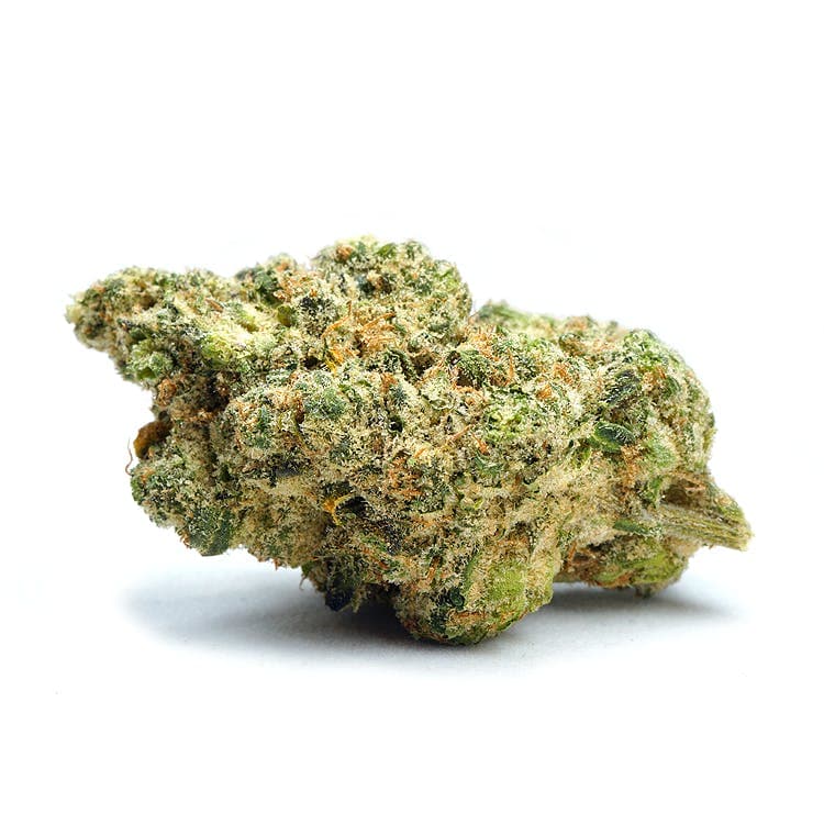 Citrus Squeeze | Indoor 3.5g