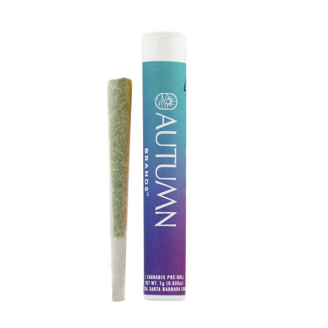 Sweet Gas Gelato 1 Gram Preroll