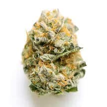 Jet Fuel Gelato | 3.5g Flower