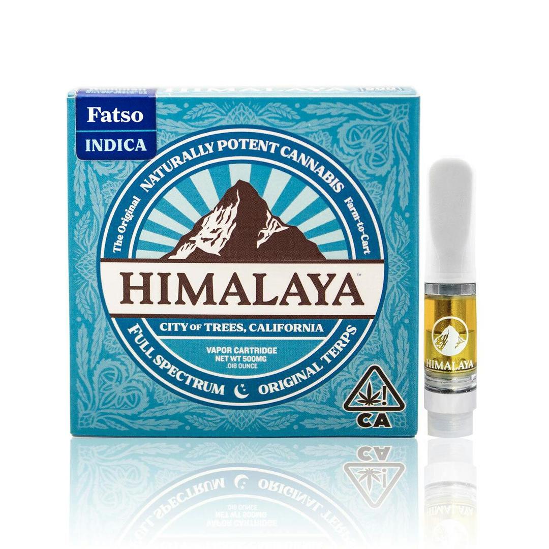 Fatso Cartridge - .5G