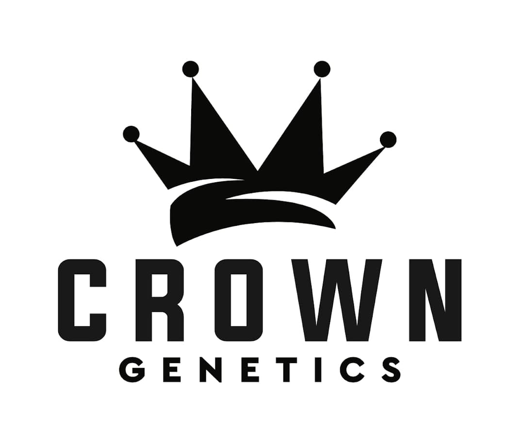 Rainbow Beltz Crown Cali Collection