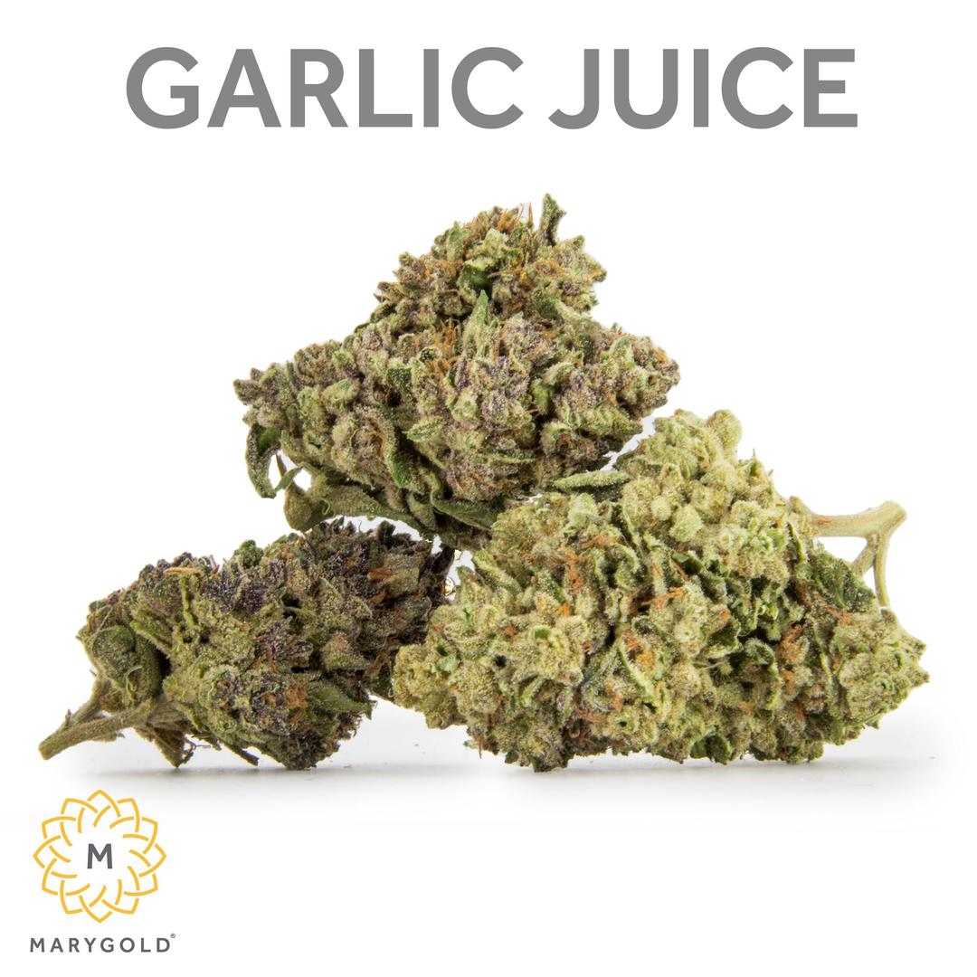 Garlic Juice 3.5g (31% THC Indica)