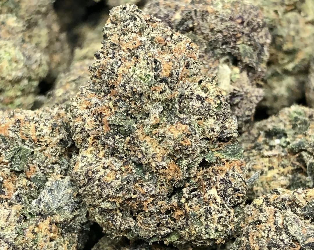 Lemon Cherry Cake - Hybrid - 30.4% THC
