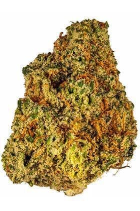 Diablo O.G