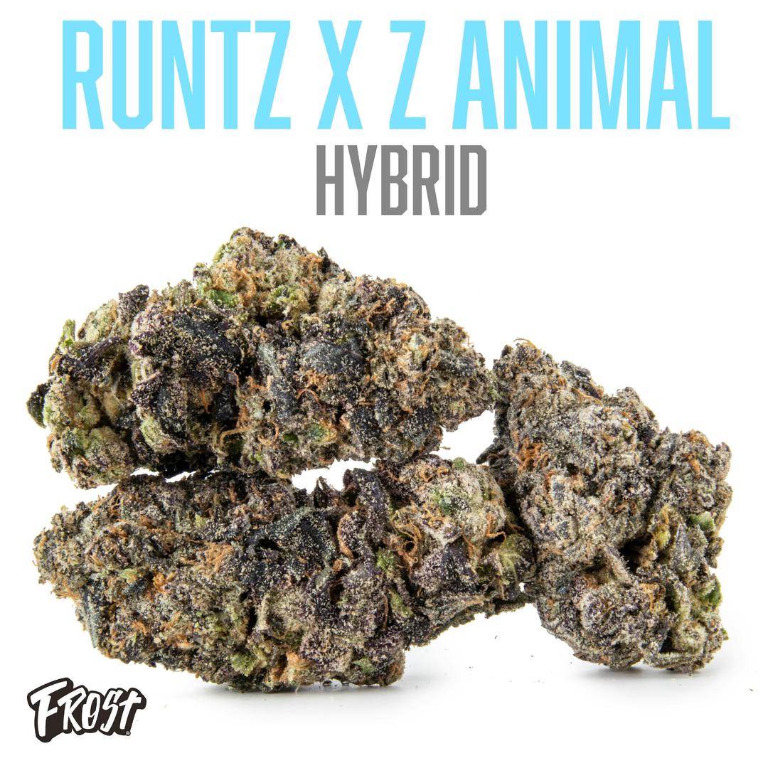 Runtz x Animal (Hybrid 36% THC)