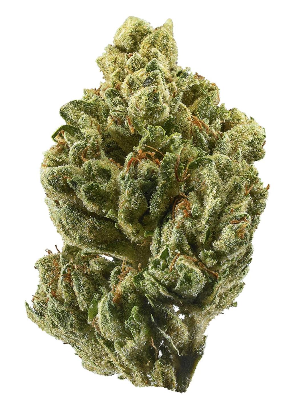 WTF OG - INDICA - 33.3% THC