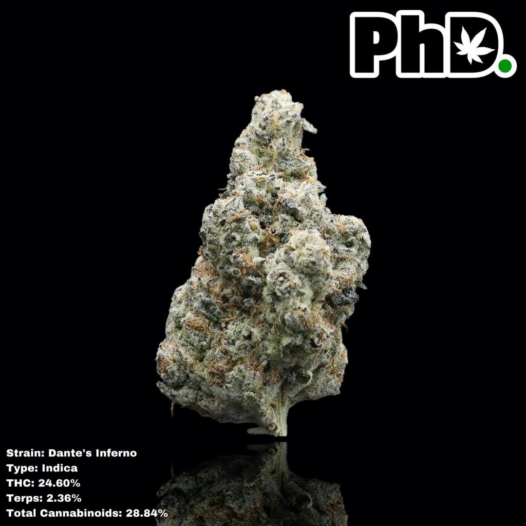 PhD Indoor Flower - Dante's Inferno