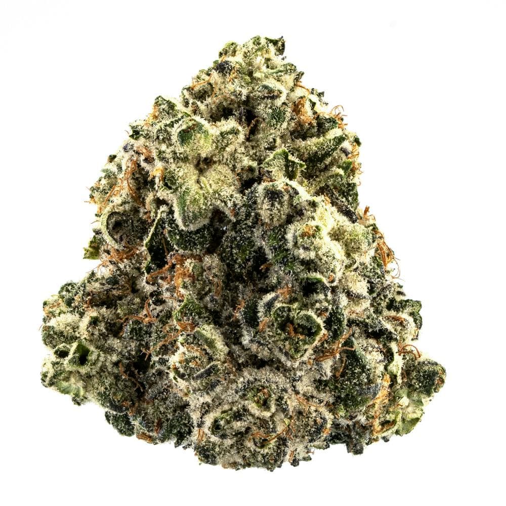 Purple Alien Cookies | Hybrid flower [7g]