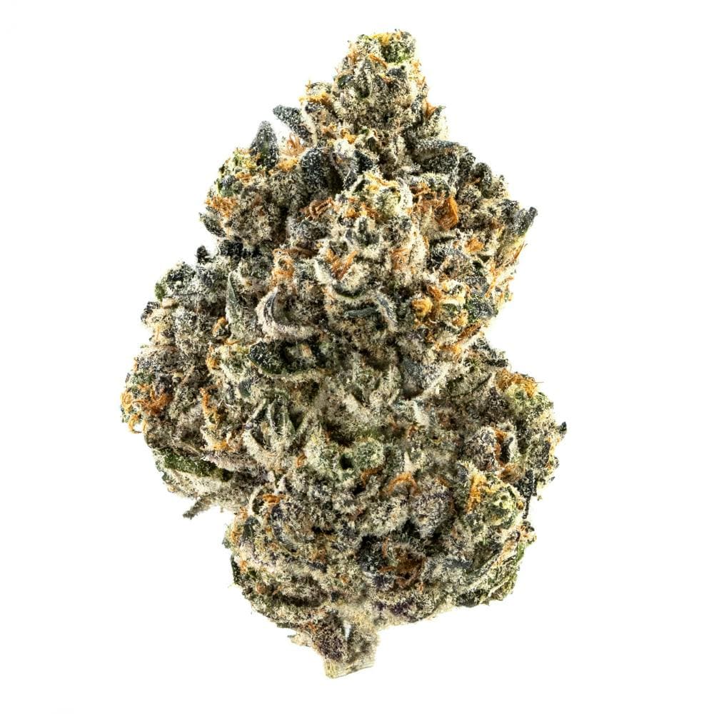 Legacy Biscotti | Hybrid Flower [7g]