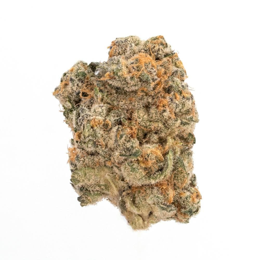 Kushlato | Hybrid Flower [7g]