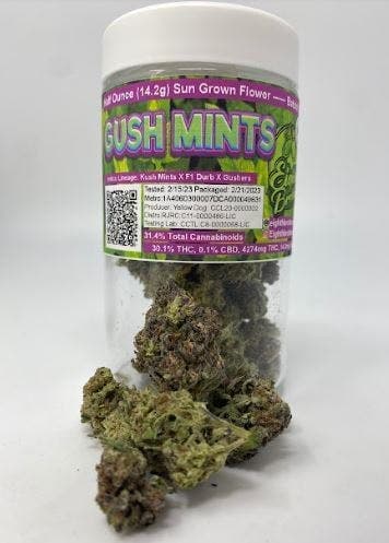 Gush Mints Jar (14g - ½ oz)