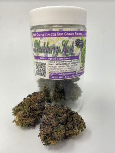 Blackberry Kush Jar (14g - ½ oz)
