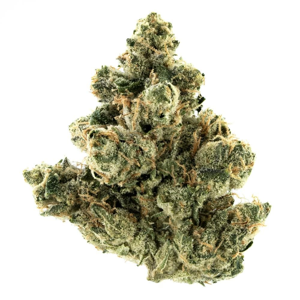 Chem 91 x Girl Scout Cookie | Hybrid Flower [7g]