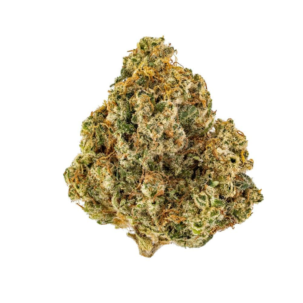 Rollins | Sativa Flower [7g]