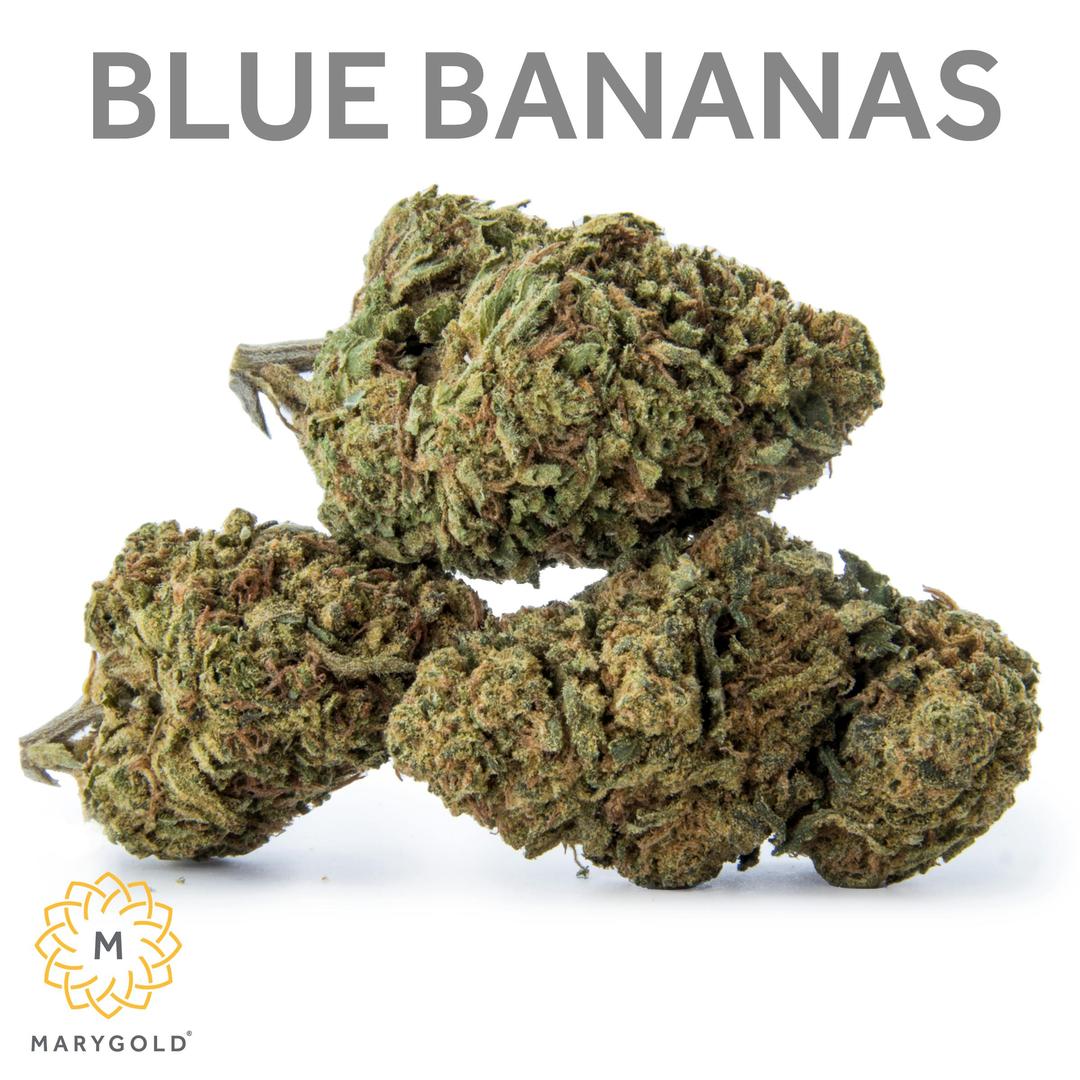 Blue Bananas 14g (29% THC Hybrid)