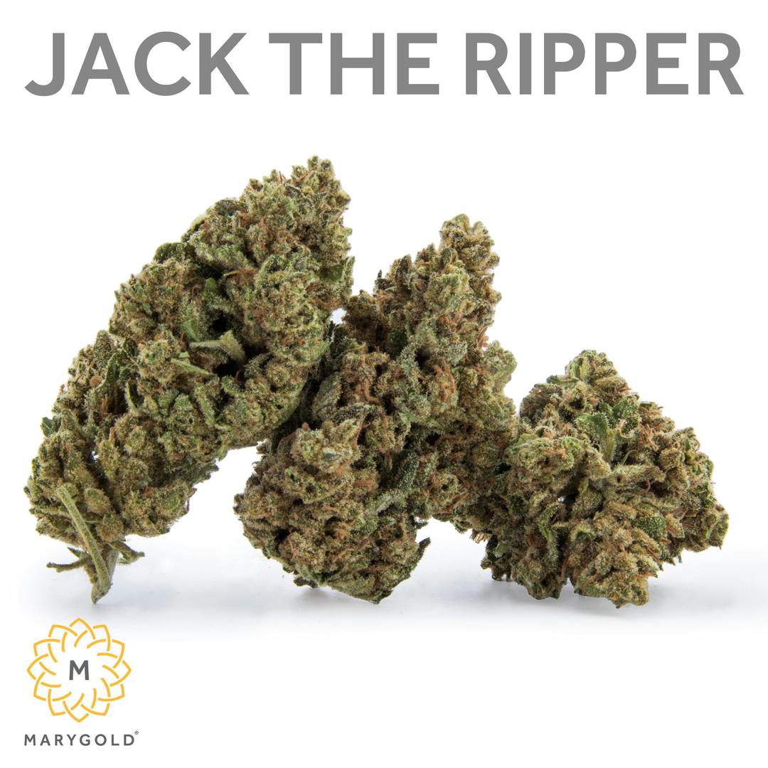 Jack the Ripper 14g (26% THC Sativa)