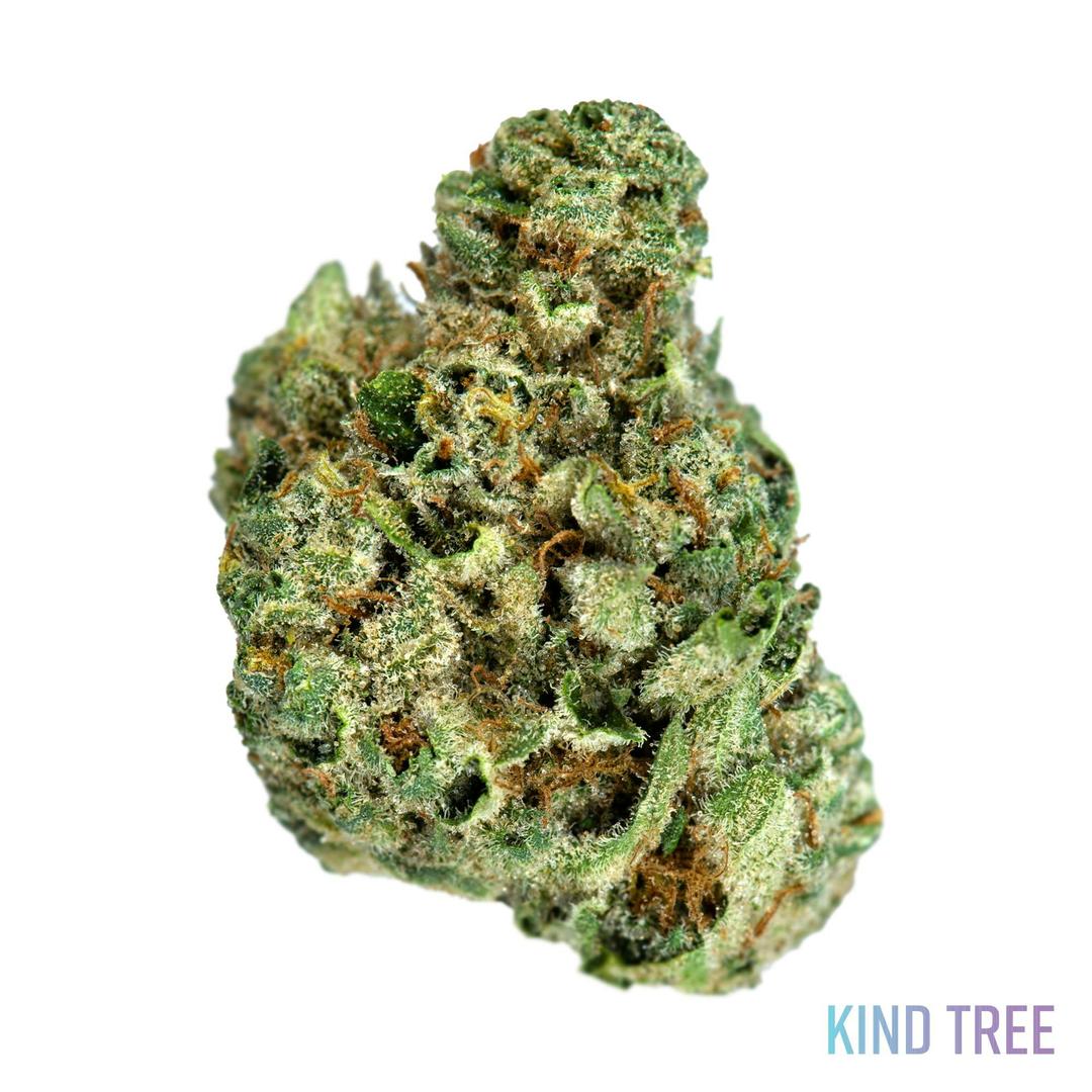 GSC