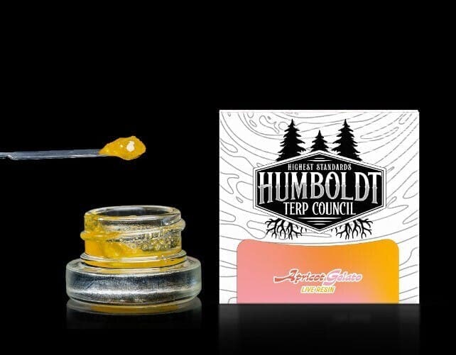 Humboldt Terp Council | Live Resin Apricot Gelato 1g