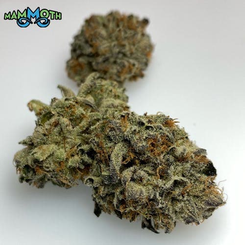 Purple Chem