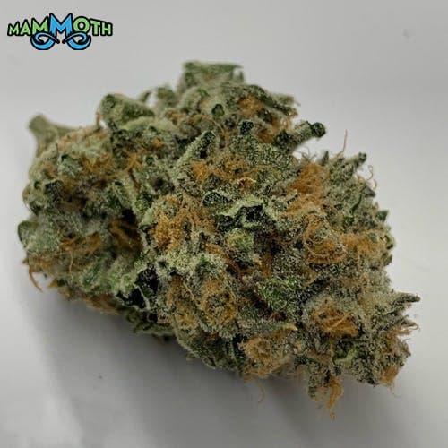 Watermelon Zkittlez 1g Preroll