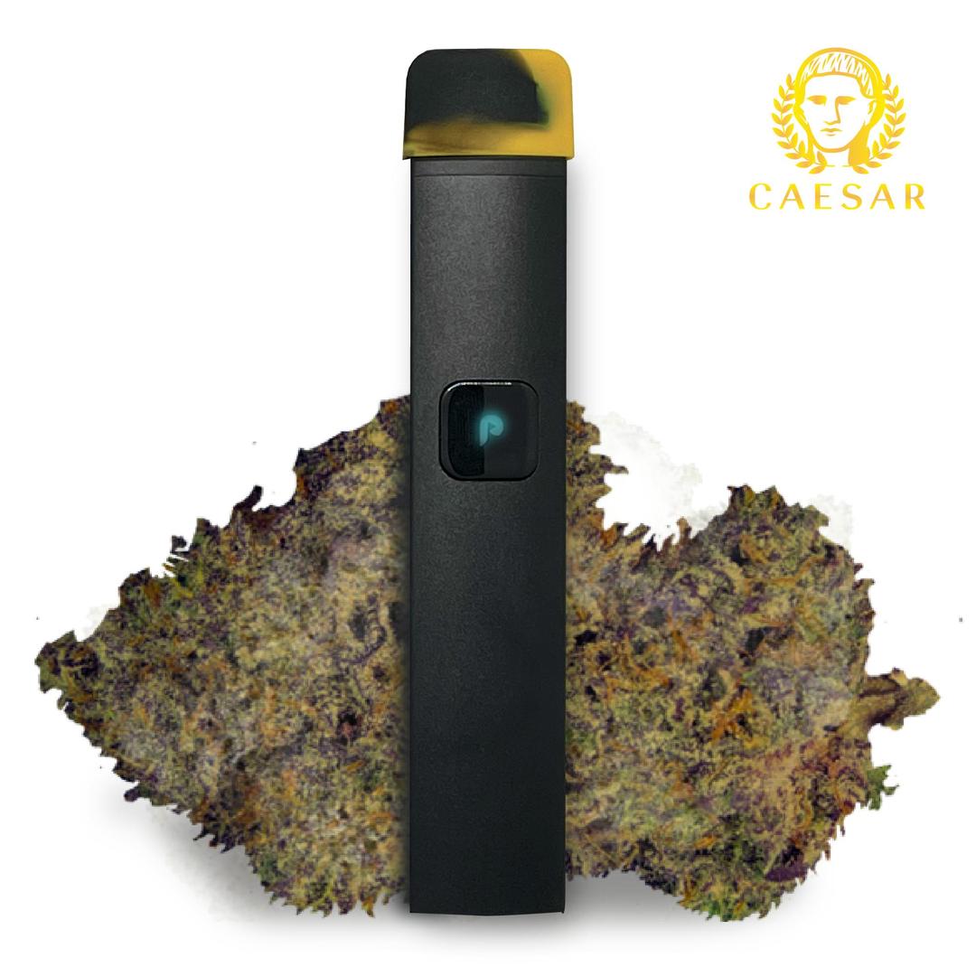 VAPE - 1g ALL IN ONE JUSTplay™ Caesar
