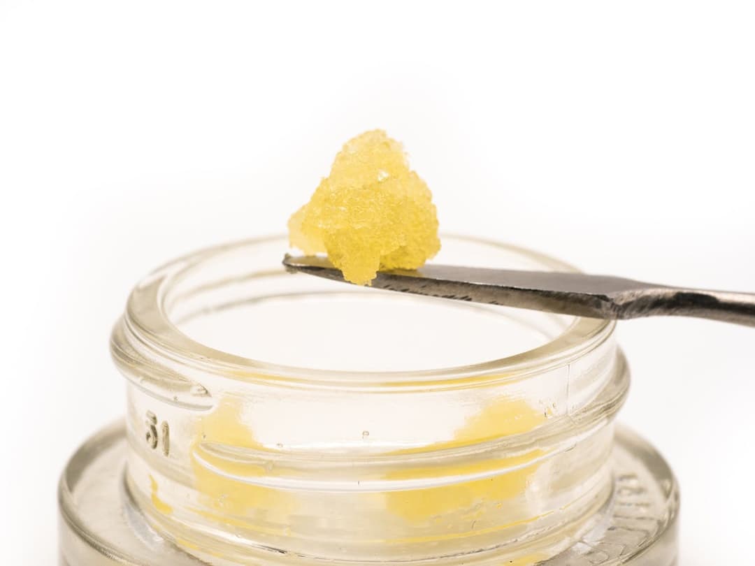 Gold Rush - Concentrate - 1G - Sativa - Biscotti Cake - Batter