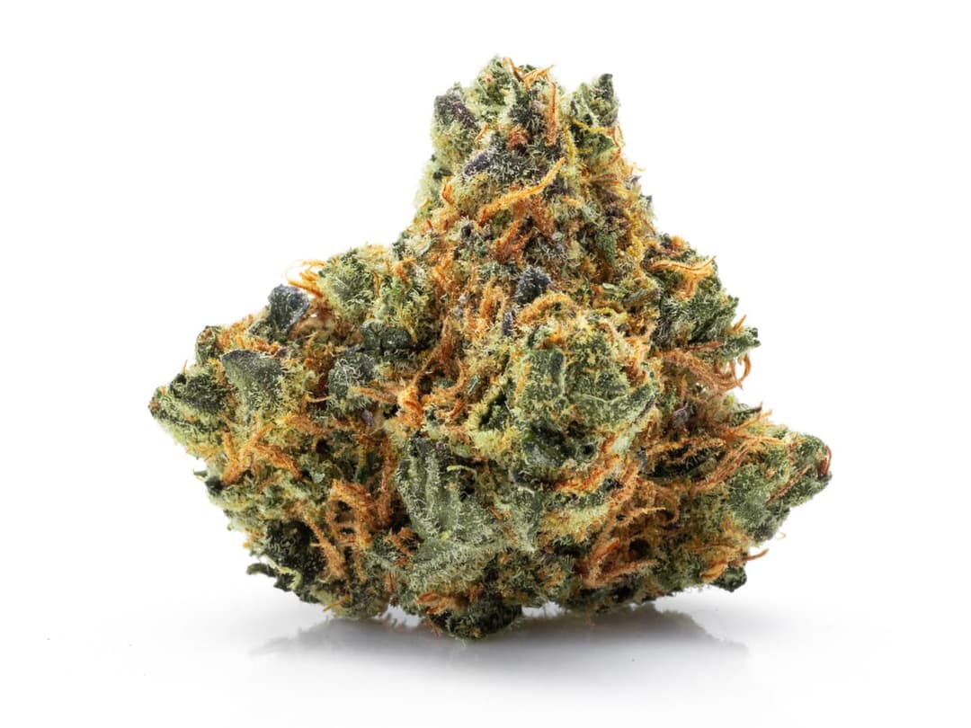 Apple Fritter - 3.5 g Pre-Pack - Gold Rush