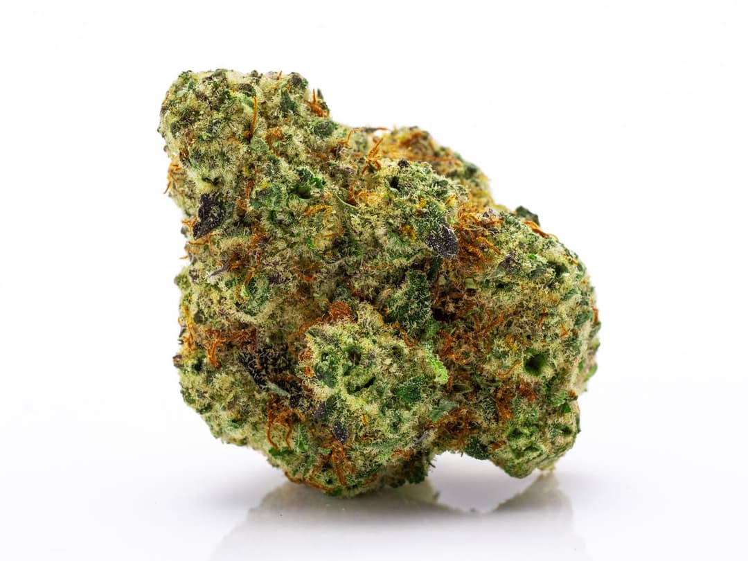 Dragon Fruit - 3.5 g Pre-Pack - Gold Rush