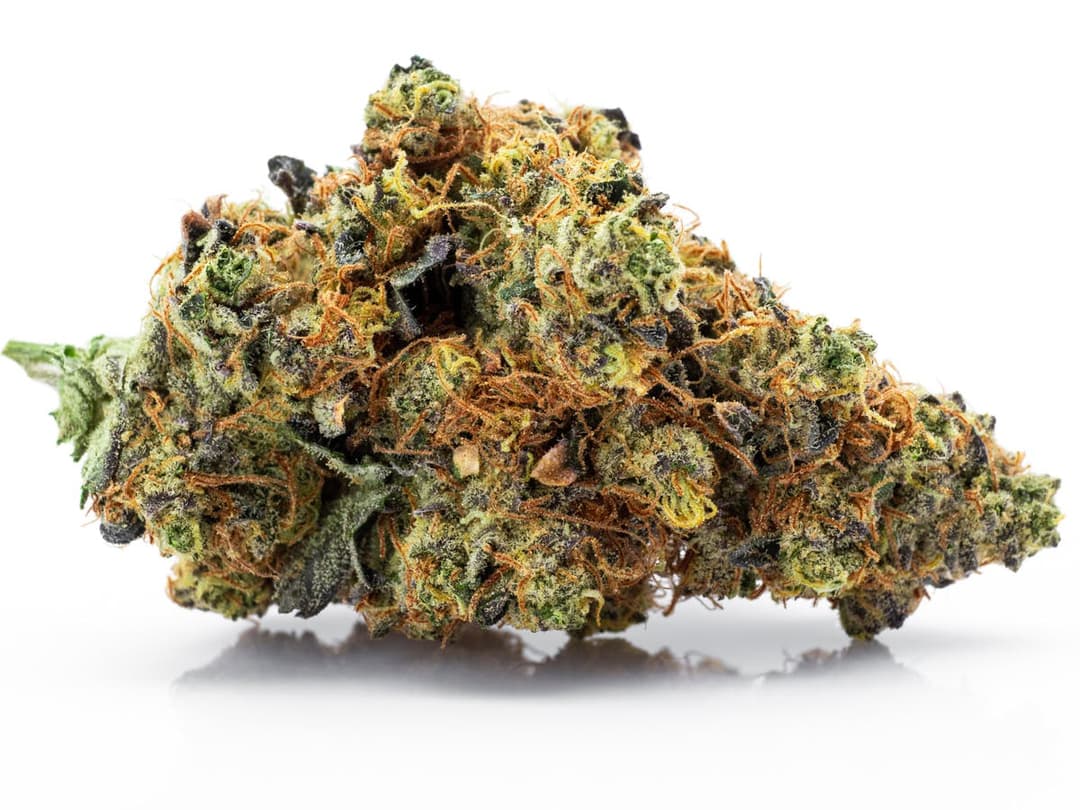 London Pound Cake - 3.5 g Pre-Pack - Gold Rush