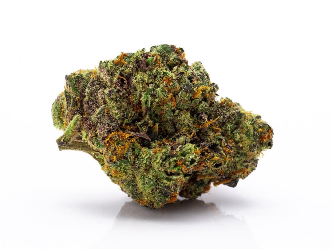 Martian Candy - 3.5 g Pre-Pack - Gold Rush