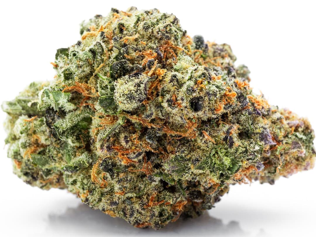 OG Kush - 3.5 g Pre-Pack - Gold Rush
