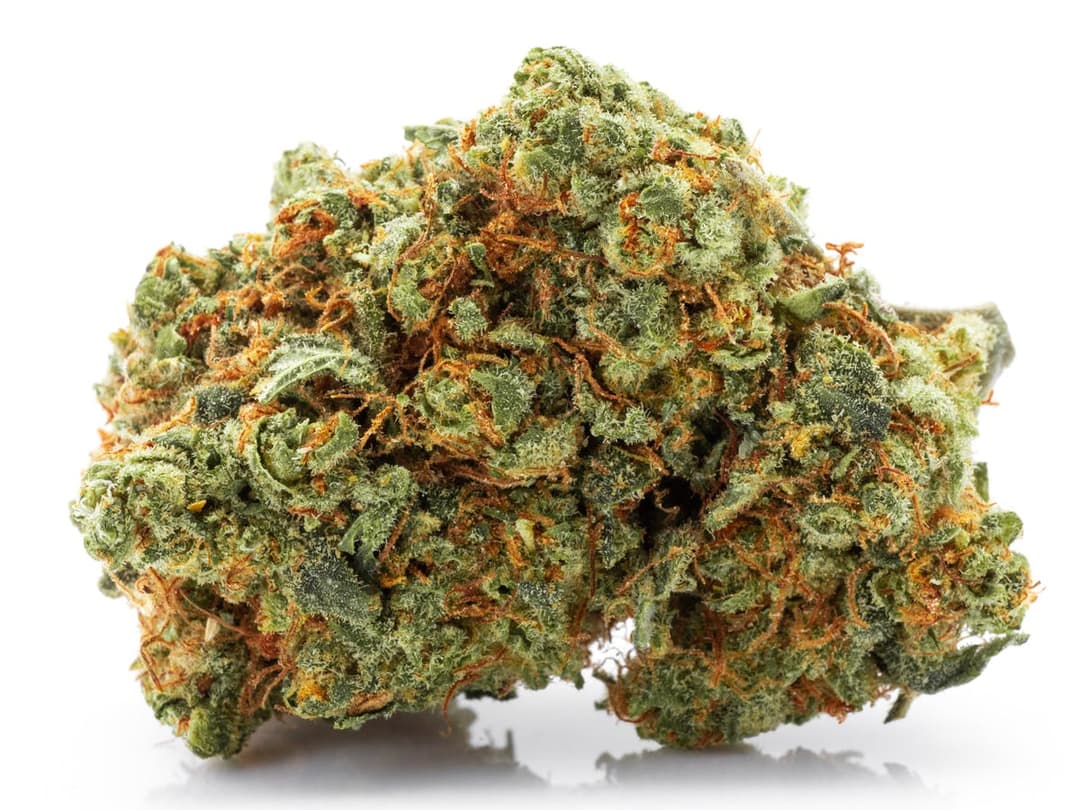 Raspberry Diesel - 3.5 g Pre-Pack - Gold Rush