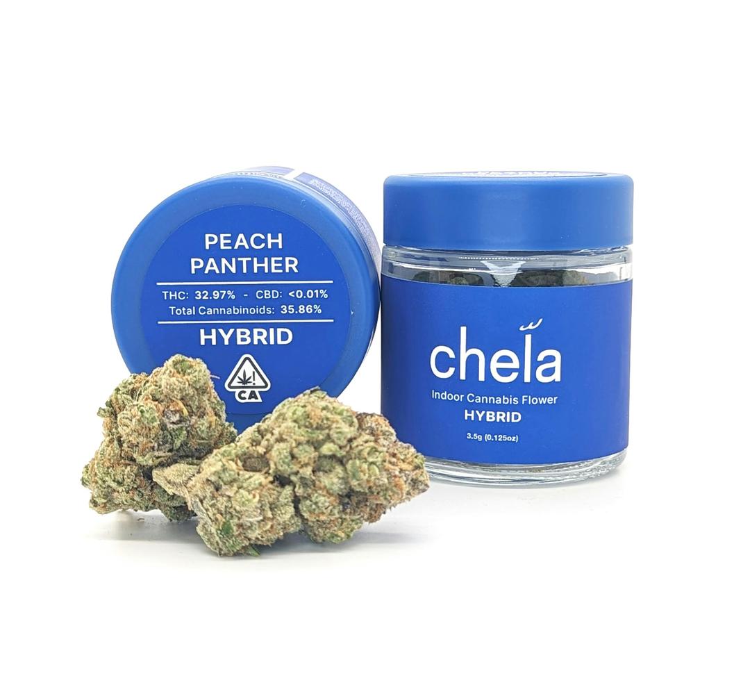 Chela - Indoor - Peach Panther
