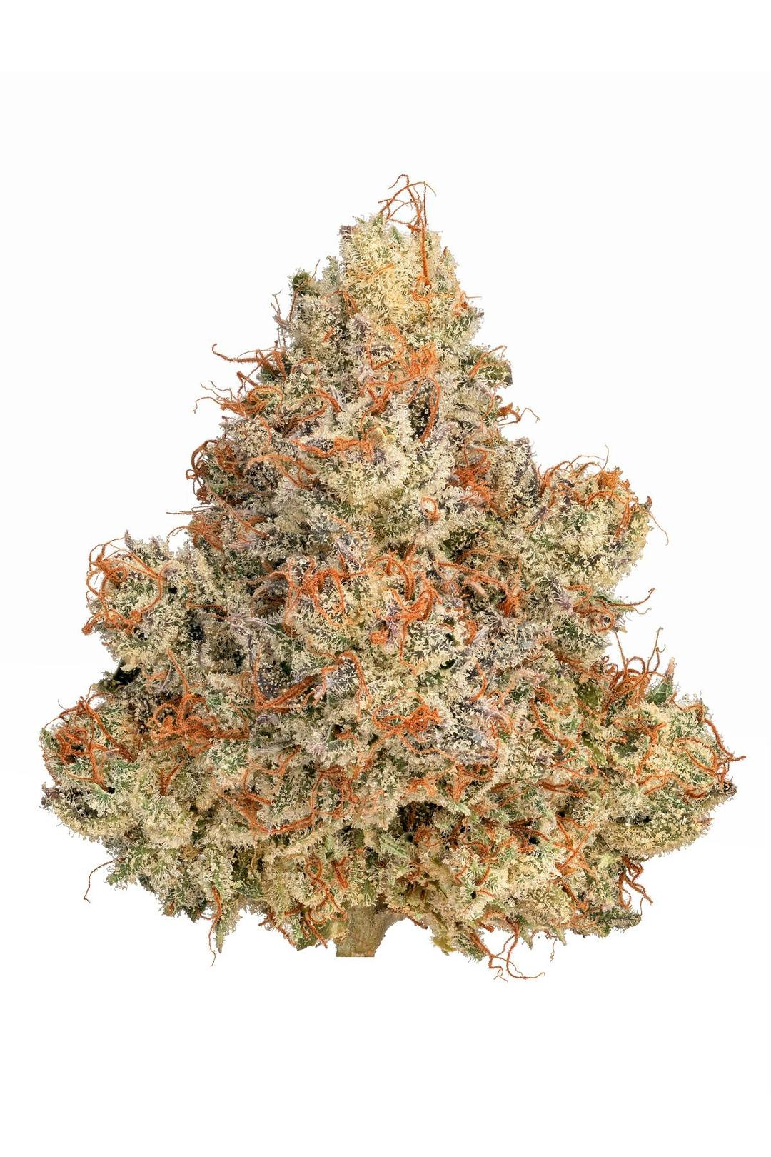 Cherry Ghostenade 7g