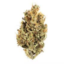 Gushers | 3.5g Flower