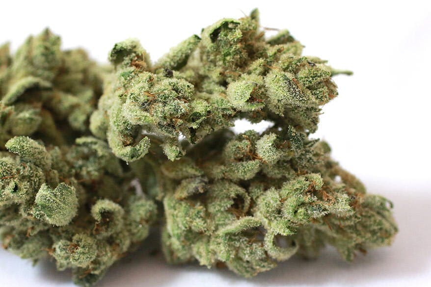 $100 Deal of the Day - Gorilla Glue