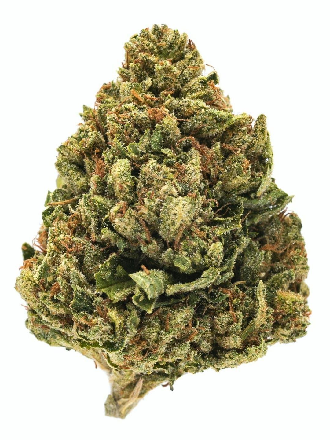 SFV O.G (MID-SHELF)