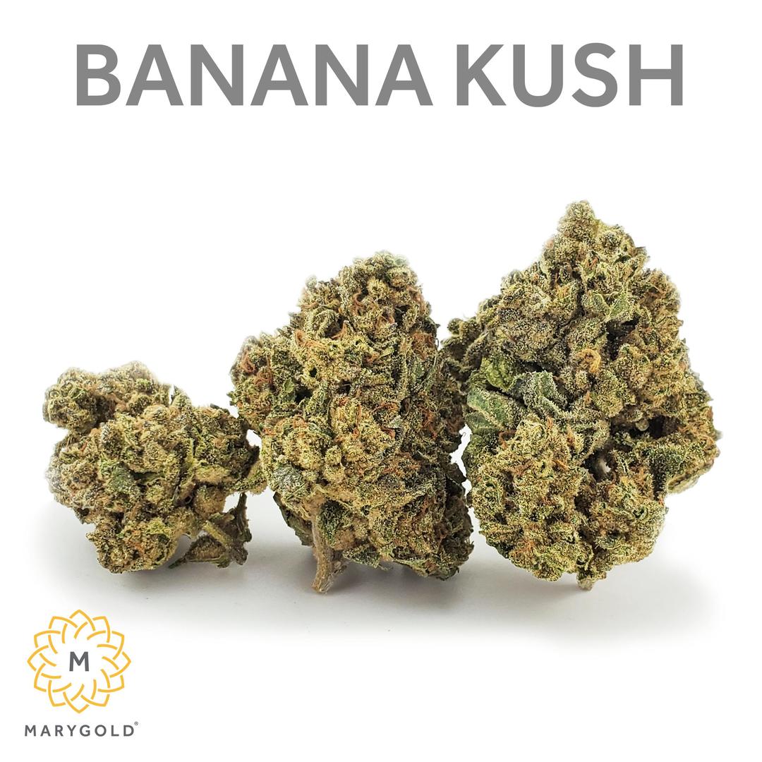 Banana Kush 14g (31% THC Indica)