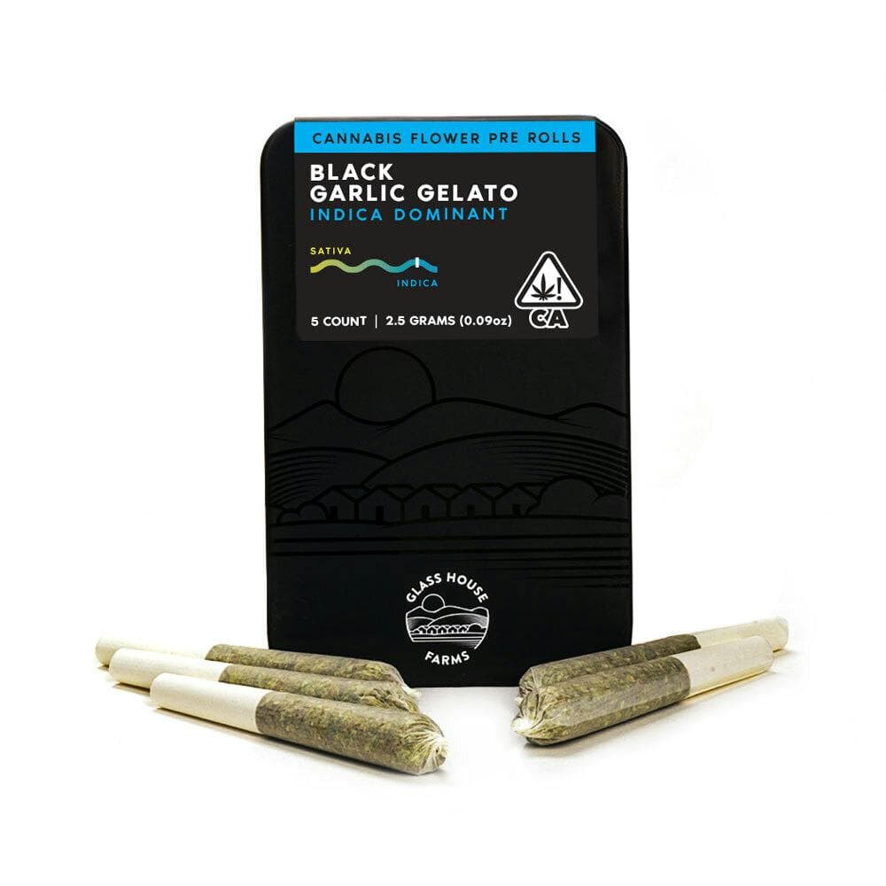Black Garlic Gelato [5 Pack]