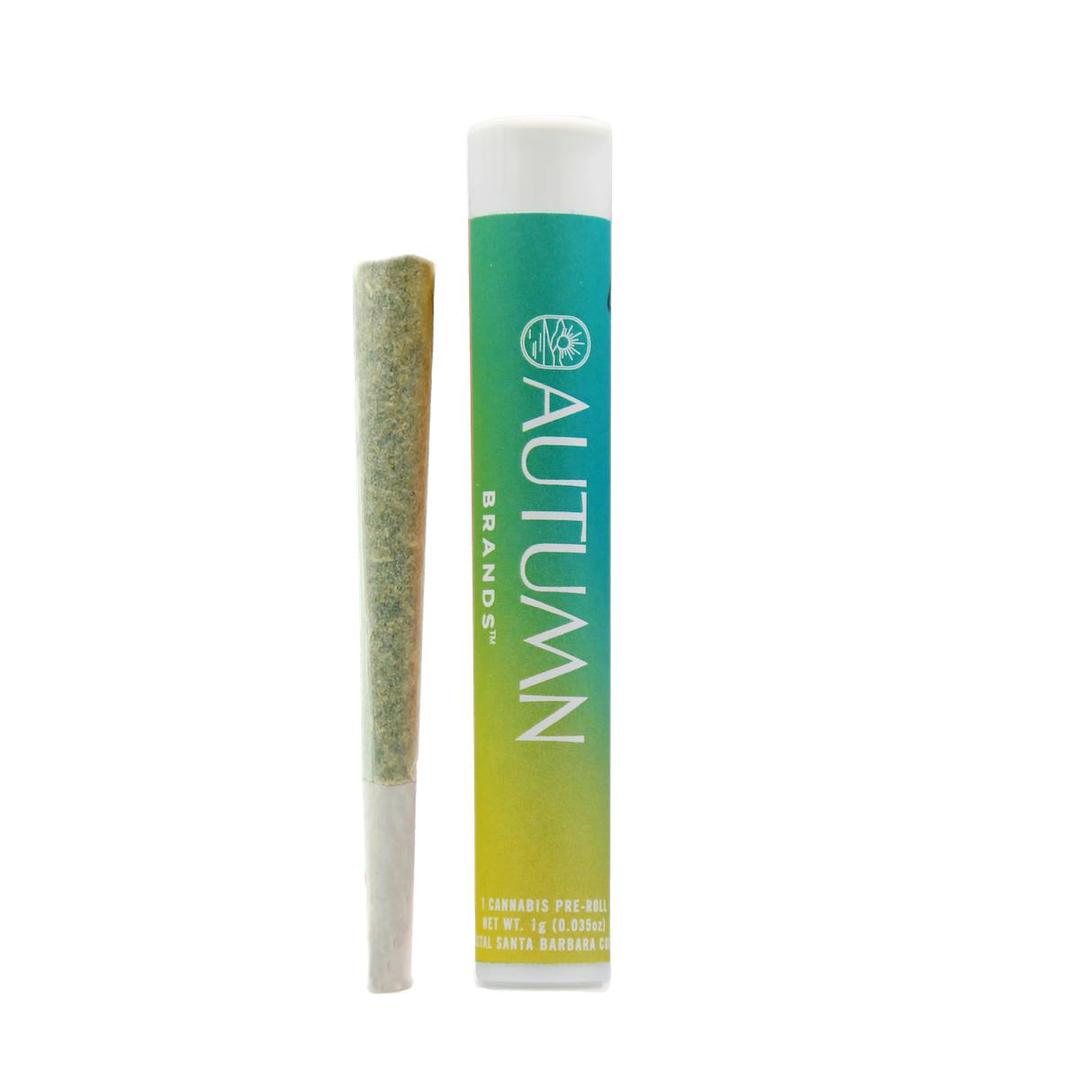 Jet Fuel Gelato 1 Gram Preroll