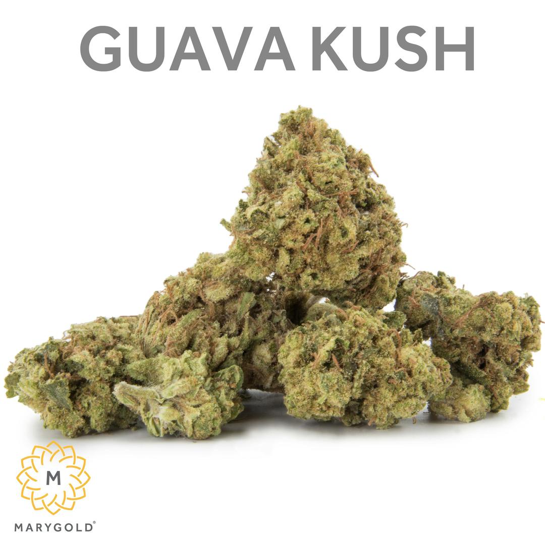 Guava Kush 14g (35% THC Indica)